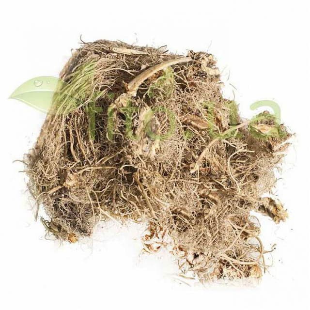 Синюха блакитна корінь Карпати 1 кг