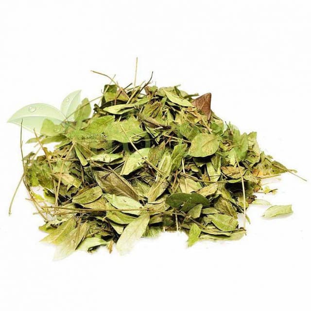 Трава барвінку малого, барвінок малий листя 100 гр