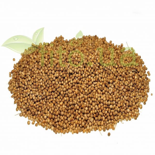 Коріандр плоди приправи 50 гр.