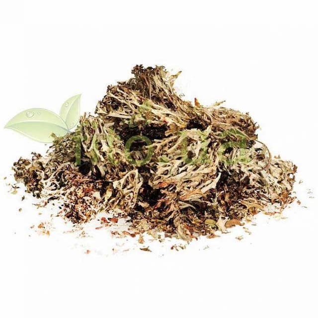 Ісландський мох (Цетрарія) 1 кг.