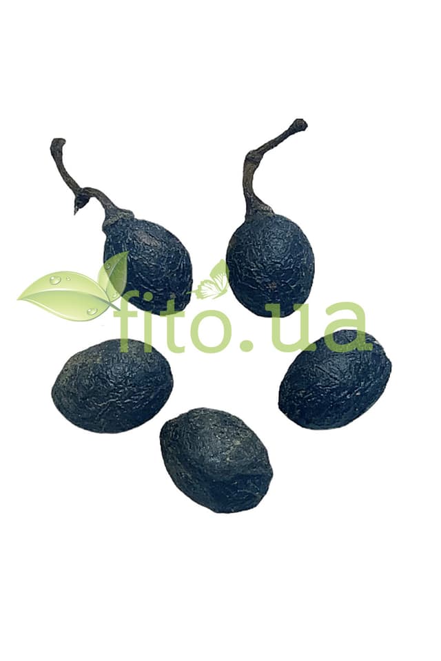 Ягоди лавра 5 шт