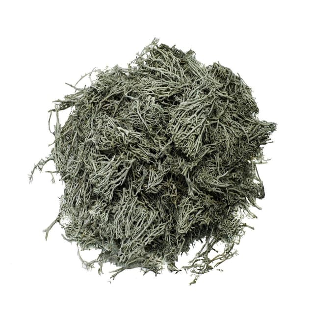 Ягель мох натуральний сухий, оленячий мох, оленя кладонія 500 гр