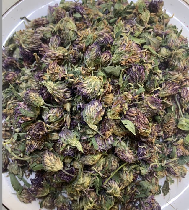 Конюшина квіти 500 гр 2025 рік